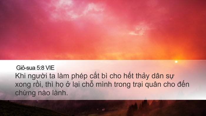 Giô-sua 5:8 VIE Bible Verse Image