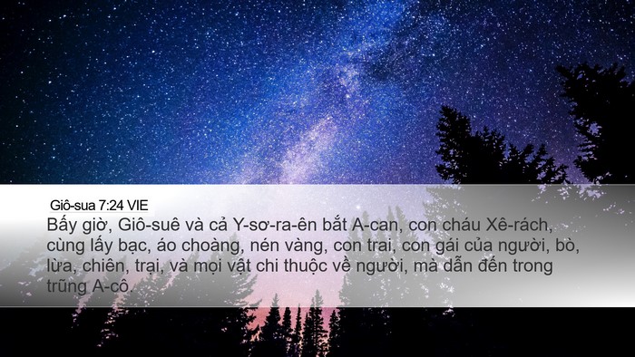 Giô-sua 7:24 VIE Bible Verse Image