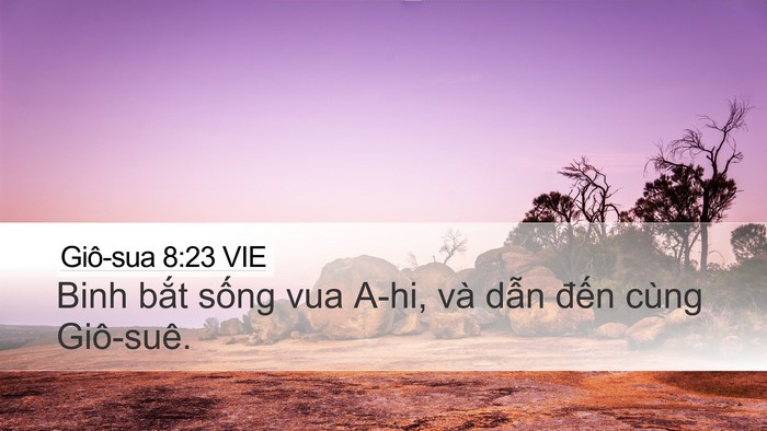 Giô-sua 8:23 VIE Desktop Wallpaper - Binh bắt sống vua A-hi, và dẫn đến - Desktop Bible Verse Wallpaper