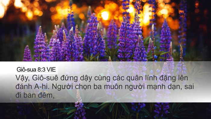 Giô-sua 8:3 VIE Bible Verse Image