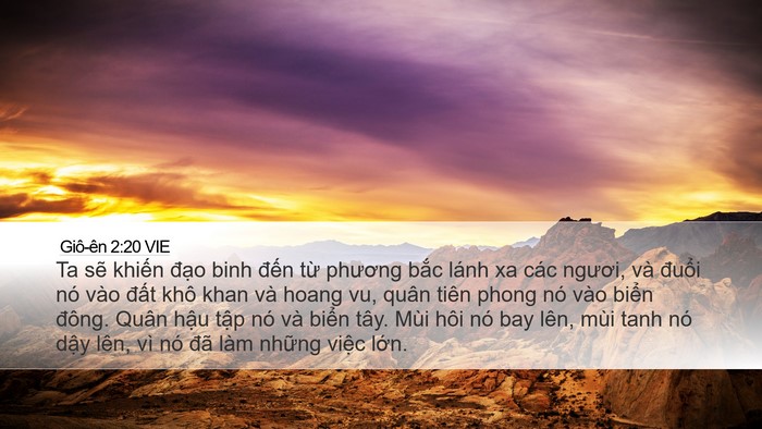 Giô-ên 2:20 VIE Bible Verse Image