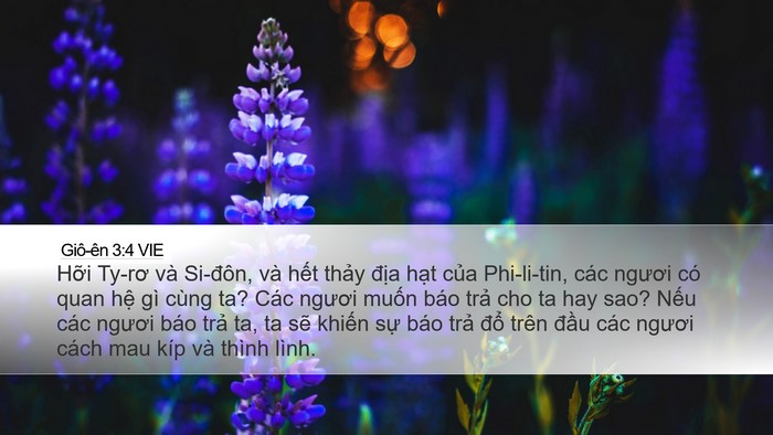 Giô-ên 3:4 VIE Bible Verse Image