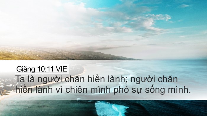 Giăng 10:11 VIE Bible Verse Image