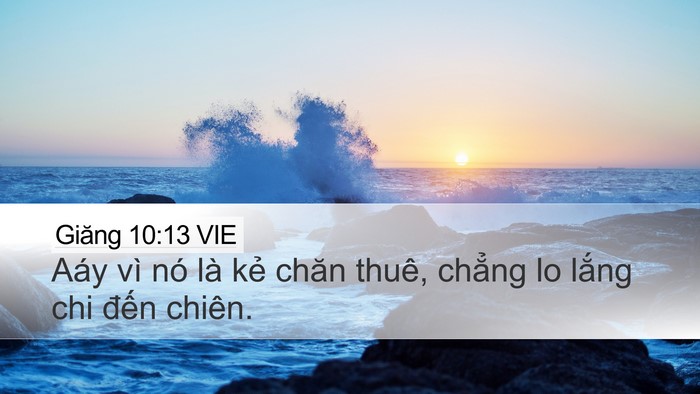 Giăng 10:13 VIE Desktop Wallpaper - Aáy vì nó là kẻ chăn thuê, chẳng lo - Desktop Bible Verse Wallpaper