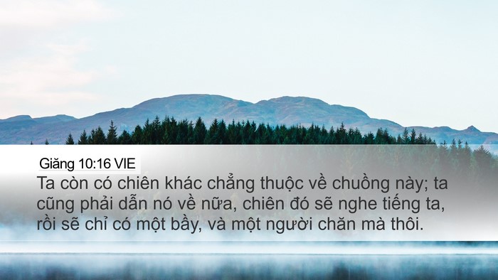 Giăng 10:16 VIE Bible Verse Image