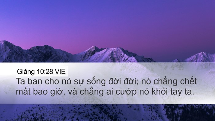 Giăng 10:28 VIE Bible Verse Image