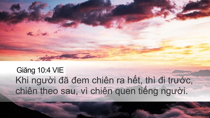Giăng 10:4 VIE Bible Verse Image