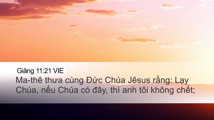 Giăng 11:21 VIE Bible Verse Image