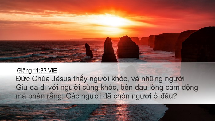 Giăng 11:33 VIE Bible Verse Image