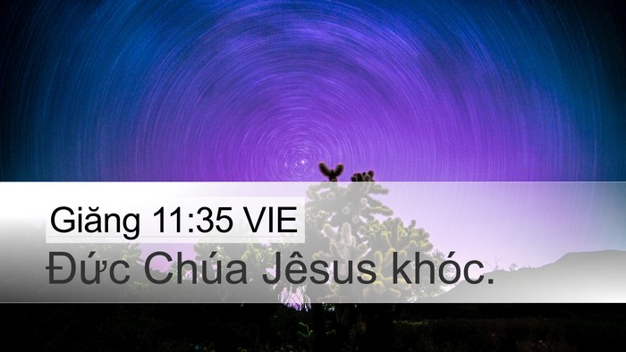 Giăng 11:35 VIE Bible Verse Image