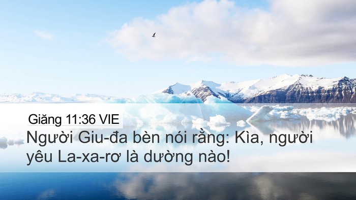 Giăng 11:36 VIE Bible Verse Image