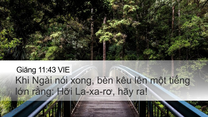 Giăng 11:43 VIE Bible Verse Image