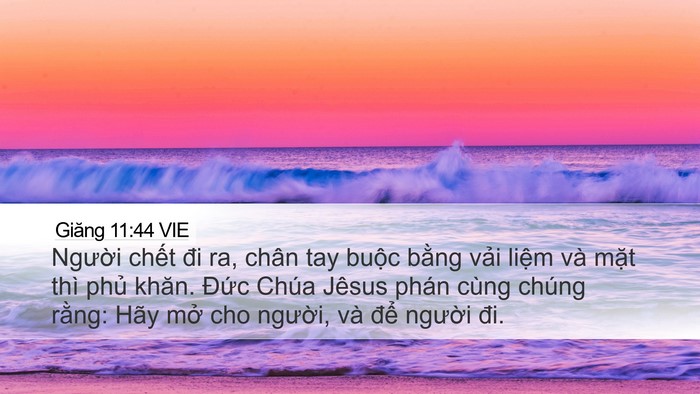 Giăng 11:44 VIE Bible Verse Image