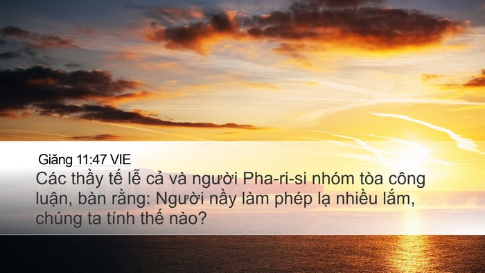 Giăng 11:47 VIE Bible Verse Image