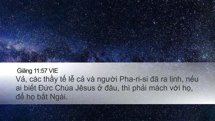 Giăng 11:57 VIE Bible Verse Image