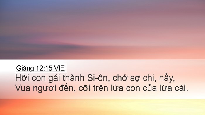 Giăng 12:15 VIE Bible Verse Image