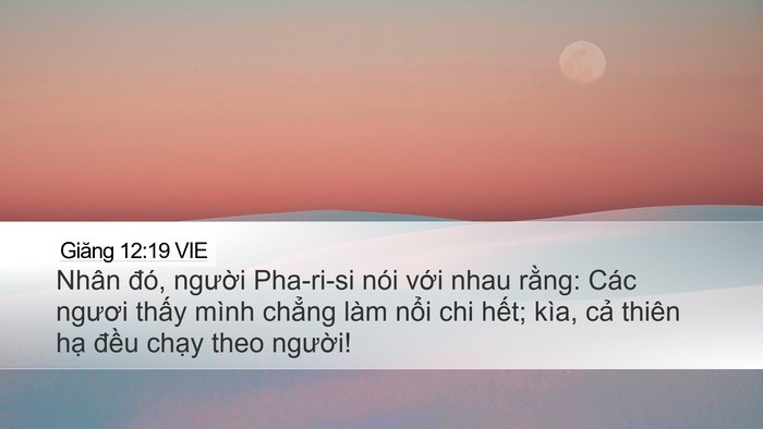 Giăng 12:19 VIE Bible Verse Image