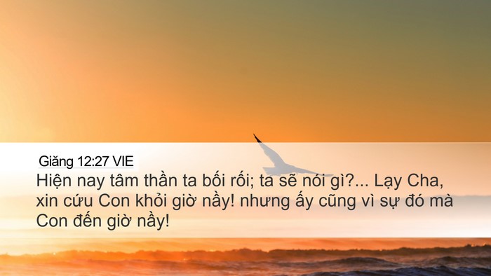 Giăng 12:27 VIE Bible Verse Image