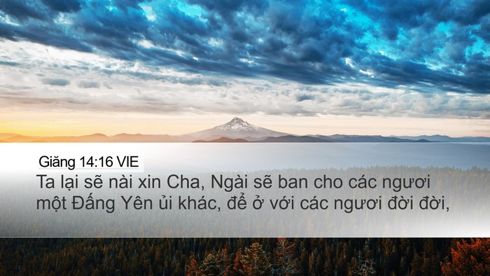 Giăng 14:16 VIE Bible Verse Image