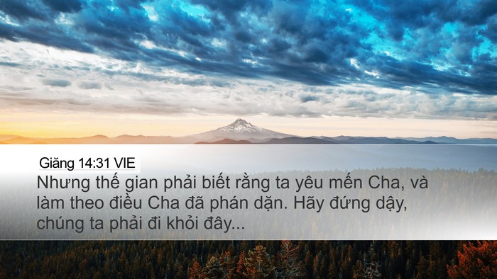 Giăng 14:31 VIE Bible Verse Image