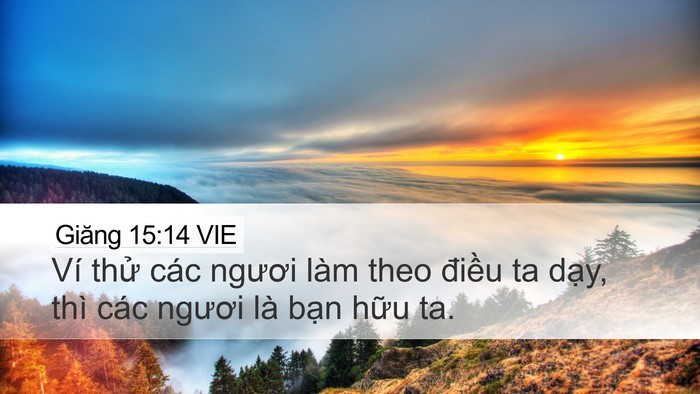 Giăng 15:14 VIE Bible Verse Image
