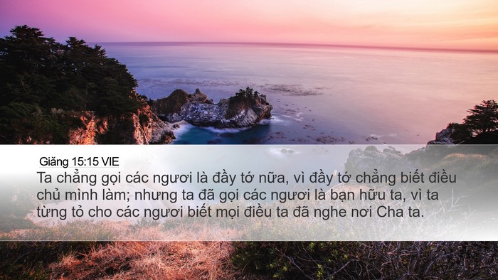 Giăng 15:15 VIE Bible Verse Image