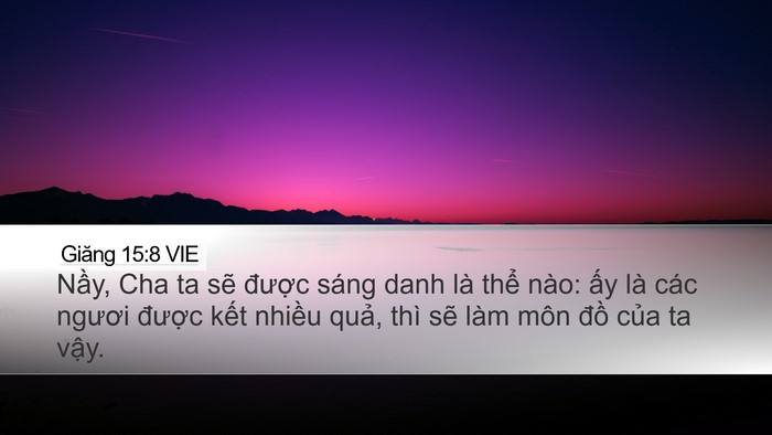 Giăng 15:8 VIE Bible Verse Image