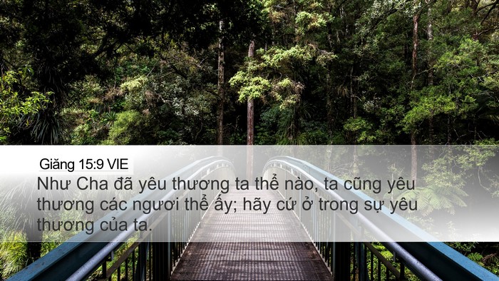 Giăng 15:9 VIE Bible Verse Image