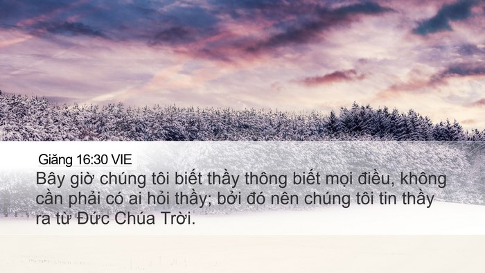 Giăng 16:30 VIE Bible Verse Image