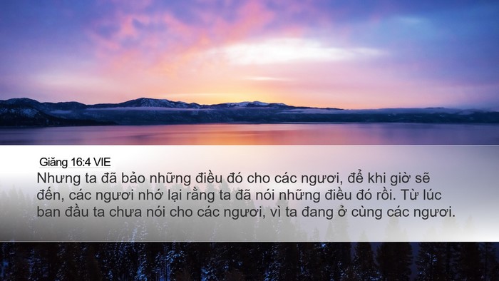 Giăng 16:4 VIE Bible Verse Image