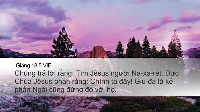 Giăng 18:5 VIE Bible Verse Image