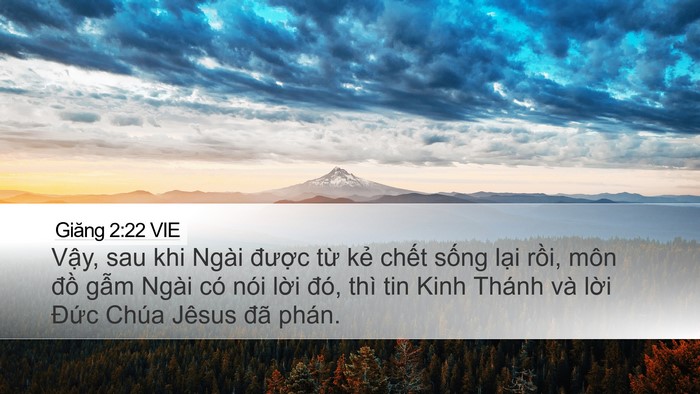 Giăng 2:22 VIE Desktop Wallpaper - Vậy, sau khi Ngài được từ kẻ chết - Desktop Bible Verse Wallpaper