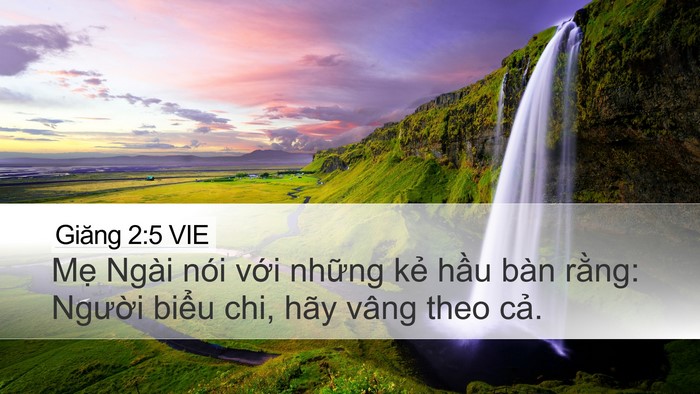 Giăng 2:5 VIE Bible Verse Image