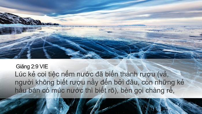 Giăng 2:9 VIE Bible Verse Image