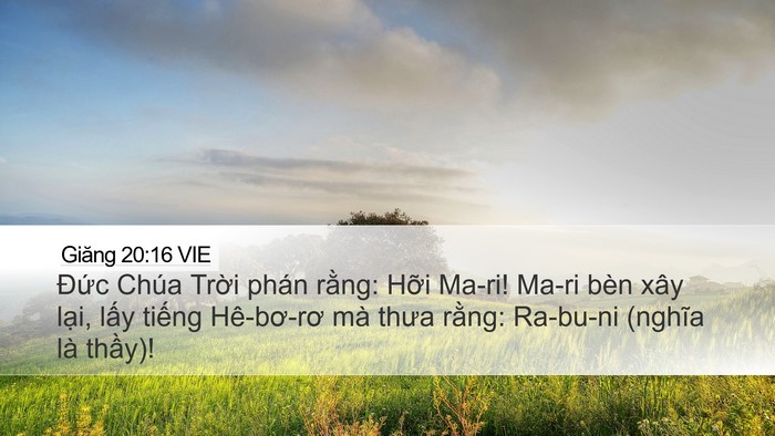 Giăng 20:16 VIE Bible Verse Image