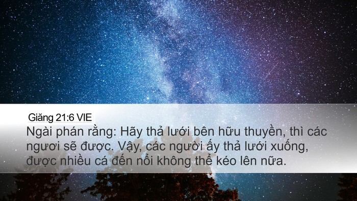 Giăng 21:6 VIE Bible Verse Image