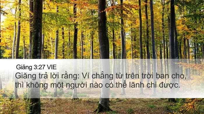 Giăng 3:27 VIE Bible Verse Image