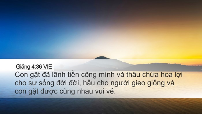 Giăng 4:36 VIE Bible Verse Image