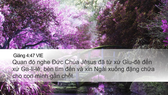 Giăng 4:47 VIE Bible Verse Image