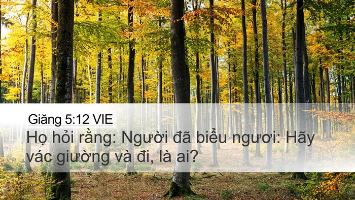 Giăng 5:12 VIE Desktop Wallpaper - Họ hỏi rằng: Người đã biểu ngươi: - Desktop Bible Verse Wallpaper