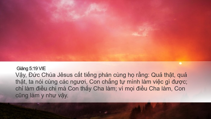 Giăng 5:19 VIE Bible Verse Image