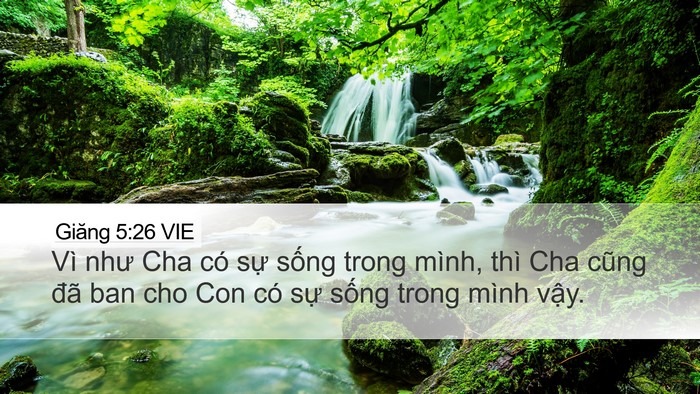 Giăng 5:26 VIE Bible Verse Image