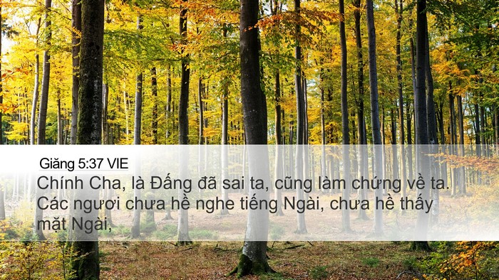 Giăng 5:37 VIE Bible Verse Image