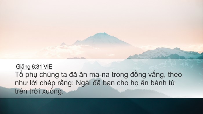 Giăng 6:31 VIE Bible Verse Image