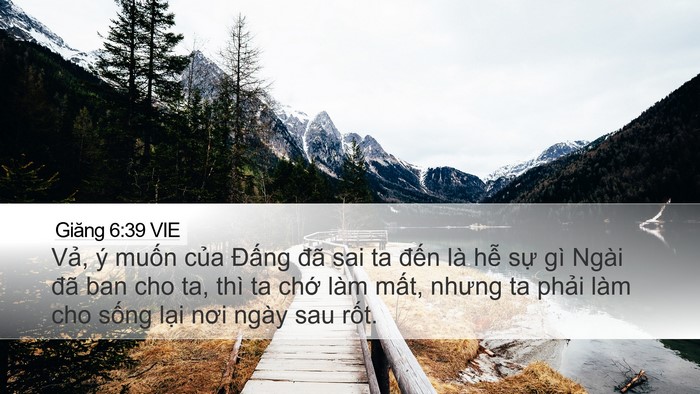 Giăng 6:39 VIE Bible Verse Image