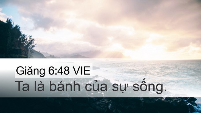 Giăng 6:48 VIE Bible Verse Image