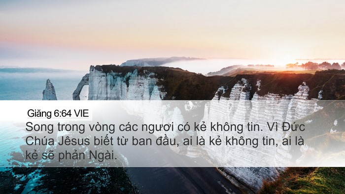 Giăng 6:64 VIE Bible Verse Image