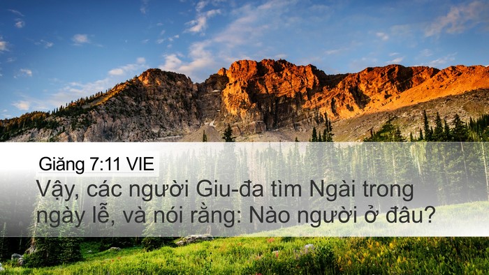 Giăng 7:11 VIE Bible Verse Image