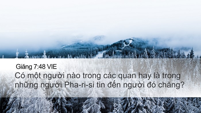 Giăng 7:48 VIE Bible Verse Image