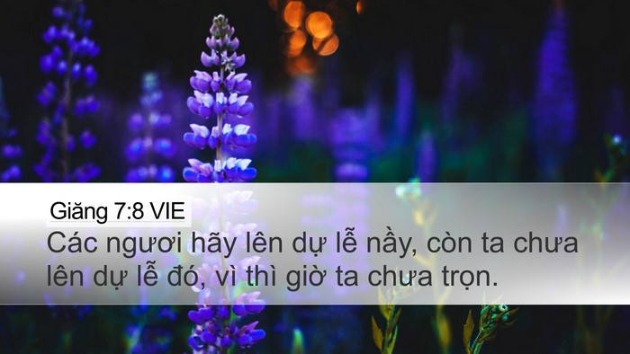 Giăng 7:8 VIE Bible Verse Image